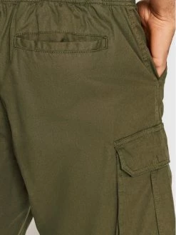 Flash Sale 😍 Brave Soul Άνδρες Υφασμάτινα Σορτς Σορτς υφασμάτινο MSRT-ISLANDPKC Πράσινο Regular Fit 🌟 -Brave Soul Εκπτώσεις unnamed file 1007