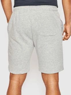 Πολύ καλή προσφορά 🔔 Brave Soul Άνδρες Αθλητικά Σορτς Αθλητικό σορτς MSRT-69TARLEY4 Γκρι Regular Fit 👏 -Brave Soul Εκπτώσεις unnamed file 1165